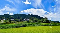 「飛鳥・藤原」をもっと知ってもらうPR活動にご支援を！ のトップ画像