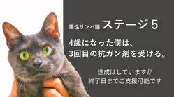 ガンのステージ5。1日でも長く幸せな時間を過ごしたいです。 のトップ画像