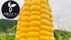 国産野菜を日本人の食卓に のトップ画像