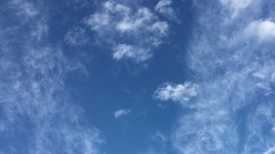 真言宗　僧侶になって　自然農　坐禅に瞑想　これが生か　よしもう一度 のトップ画像