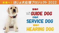 僕たちがほじょ犬になる育成費のご支援をお願いいたします。 のトップ画像