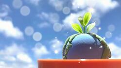 一人ひとり、園芸からSDGs『資源を大切に‼ベジ土』を広めたい のトップ画像