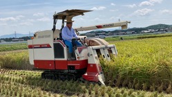 地元（三重県松阪市）で農業復活の狼煙を上げたい のトップ画像