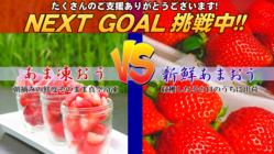 ●１年中、あまおうをお届けしたい！ のトップ画像