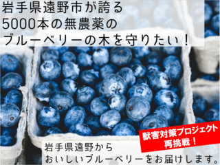 岩手県遠野市が誇る、5000本の無農薬のブルーベリーを守りたい！ のトップ画像