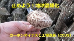 止めよう！地球温暖化　カーボンマイナスと土壌改良（CCUS） のトップ画像