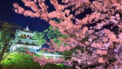 上越市　地域支援プラジェクト のトップ画像