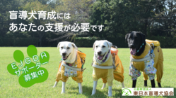 盲導犬ユーザーに笑顔を届け続けたい｜EJGDAーサポーター募集中！ のトップ画像