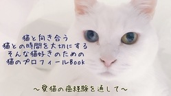 猫と向き合い猫との時間を大切にする猫のプロフィールBを作成したい！ のトップ画像