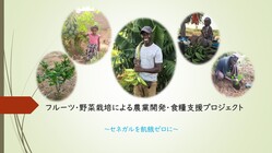 セネガル フルーツ・野菜栽培による農業開発・食糧支援プロジェクト 