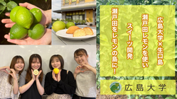 しましまレモン　～広大生が瀬戸田レモンでスイーツ開発しとるけぇ！～ のトップ画像