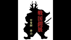 第１弾 地域活性化 戦国甲冑と現代の融合 のトップ画像