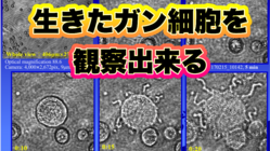 新型顕微鏡を広めたいーがんやコロナウイルスとの闘いへの強力後方支援 のトップ画像