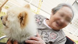アニマルセラピー、犬の癒しの力を気軽にたくさんの方に知ってほしい のトップ画像