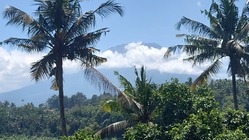 〜バリ島の農村部を養殖業から活性化する事で、貧困問題を解決する〜 のトップ画像