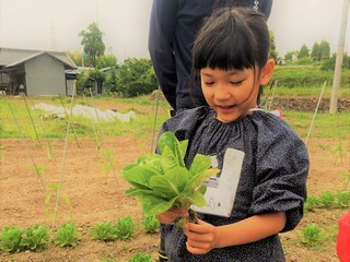 子供達が育てた野菜を子供達自身の手で販売する拠点を作りたい！