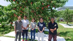 心じゃわめぐ！！たんげめぇ！！！ 　桃ネクターこさえだよ！！ のトップ画像