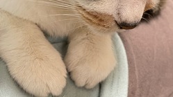 専門学校2年後期の学費30万を御支援下さい。 のトップ画像