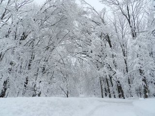 豪雪の北海道富良野市に、安価な除雪サービスを提供したい！ のトップ画像