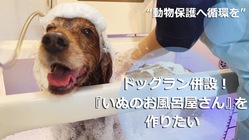 “動物保護へ循環を” ドッグラン付『犬のお風呂屋さん』を作りたい！ のトップ画像