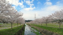 山県市を拠点に過疎化地域での訪問看護 のトップ画像