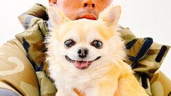 【僧帽弁閉鎖不全症】レオンの命に御支援下さい！ のトップ画像