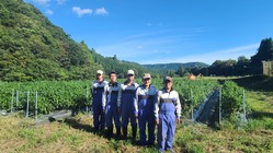 「苗半作」　地元で酒米の苗から作りたい‼　持続可能な農業を・・・ のトップ画像