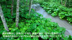 北海道占冠村の鵡川を舞台に「森里川海のつながり」を学ぶ絵本を作る！ のトップ画像