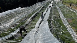 台風11号により全壊したアスパラハウスを再建したい！ のトップ画像