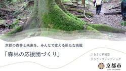 森林の魅力に癒されてほしい！×森林の応援団づくり のトップ画像