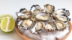 相生市の幻の1年牡蠣味わってほしい のトップ画像