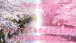 今年で5周年！冬に咲くさくらライトアップを(ほぼ)完成させたい。 のトップ画像