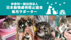 非営利一般社団法人日本動物虐待防止協会【 毎月サポーター】