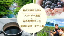耕作放棄地と古民家を使ったブルーベリー園と古民家縁側カフェの開設 のトップ画像