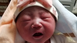 広島県民の増加の手助けになりたいです。 のトップ画像