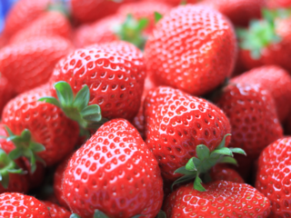 一粒の苺から一つの笑顔が見たい！宮城から届けるあなたのいちご のトップ画像