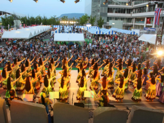 アロハフェスティバルｉｎ高松１０周年　みんなで感動の花火を！ のトップ画像