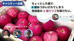 少しの傷で B 級扱いされている青森産 A 級リンゴを届けたい！ のトップ画像