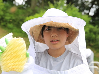 環境教育＆起業家教育を支える「鎌倉こどもハチミツ」を全国へ！ のトップ画像