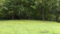 武蔵村山市の痒い所に手が届くようなサービスを我が市に設立したい のトップ画像