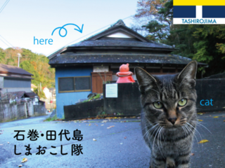 猫島・田代島に誰もが集える古民家カフェを作り、石巻復興へ！ のトップ画像