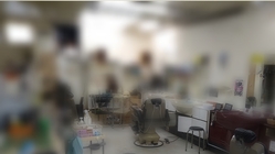 ボロボロだった床屋を快適な美容室になるまでの道のり のトップ画像