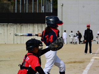 堺市に中高生のガールズ野球チームを作り女子野球を盛り上げる！ のトップ画像