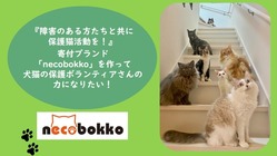 犬猫の保護活動への寄付ブランドを障害のある方たちと一緒に作りたい のトップ画像