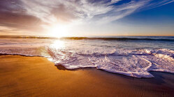 東日本大震災で被災された方々のための追悼記念コンサートを継続したい のトップ画像