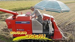 無施肥栽培のコシヒカリを探している方々に美味しいお米を提供したい。 のトップ画像