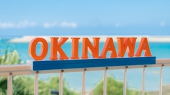 空き家の古民家を再生しドッグランとカフェを立ち上げたい！ のトップ画像