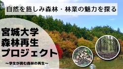 大学の森から、宮城や日本の森や林業を考えていきたい！ のトップ画像