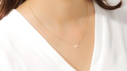 ホースシューを兼ねた幸運の三日月アクセサリーを全国の頑張る女性へ のトップ画像