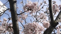 納入額が足りません。どうか学費をご支援ください。 のトップ画像